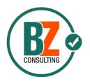 BZ CONSULTING