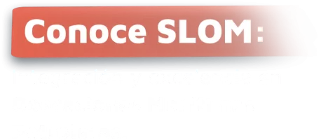 CONOCE SLOM - MIEMBROS